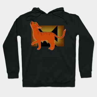 FireStar/FireHeart Hoodie